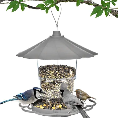 Produktbild von Vogelfutterhaus Aufhängen, Futterhaus für Vögel 820 ml, Vogelfutterhaus Wetterfest,Vogelfutterspender Hängend für Alle Gartenvögel Geeignet Balkon