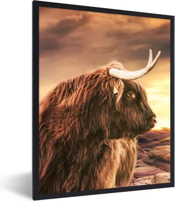 Produktbild von MuchoWow® Gerahmtes Poster Schottischer Hochländer - Sonne - Horizont - Kuh - Tiere 30x40 cm - Poster mit Schwarzem Bilderrahmen Wandposter Rahmen Foto Bilder - Wanddeko - Kunstdrucke