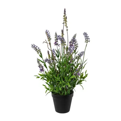 Produktbild von CREATIV green künstlicher Lavendel, 30cm, lila, im schwarzen Kunststofftopf 7,5x7cm, mediterrane Dekoration