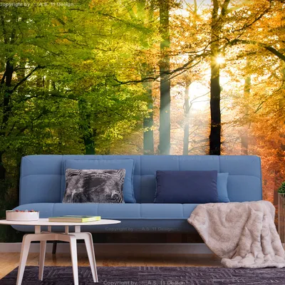 Produktbild von Basera Selbstklebende Fototapete Waldmotiv c-B-0444-a-a, mit UV-Schutz, 294x210 cm