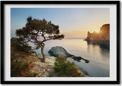 Produktbild von Bild - Bilderrahmen - 100 cm x 70 cm - MDF - Rahmen - Foto - Wandkunst Baum durch das Meer