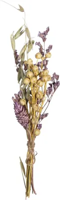Produktbild von Trockenblumenstrauß, flieder, 18-20cm, SB-Btl. 1Stück