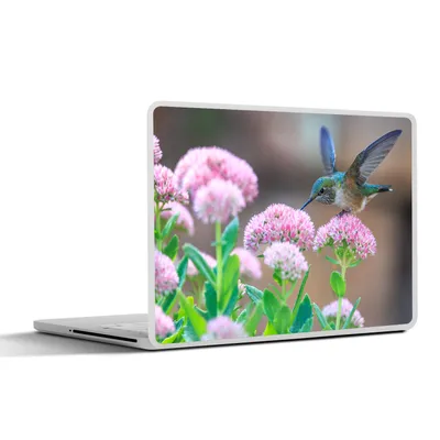 Produktbild von MuchoWow® Laptop Aufkleber Sticker Cover Blumen - Vogel - Kolibri 30x21 cm - Sticker für Laptop - Selbstklebend