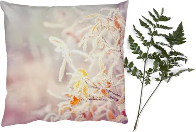 Produktbild von MuchoWow® Zierkissen Sofakissen Wohnzimmer Dekokissen 60x60 cm Winter - Äste - Schnee - Natur - Sitzfläche - Foto Polster