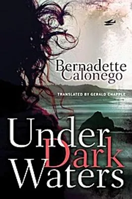 Produktbild von Under Dark Waters