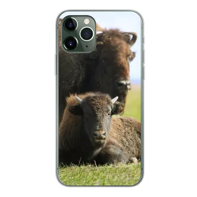 Produktbild von MuchoWow® Handyhülle Schutzhülle Hülle für iPhone 11 Pro Büffel - Gras - Kalb Silikon Softcase Handy Hülle - Handy