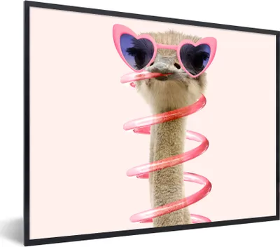 Produktbild von MuchoWow® Gerahmtes Poster Strauß - Sonnenbrille - Rosa - Tiere 80x60 cm - Poster mit Schwarzem Bilderrahmen Wandposter Rahmen Foto Bilder - Schwarzem - Mit Gestell