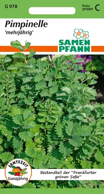 Produktbild von Pimpinelle | Kräutersamen von Samen Pfann