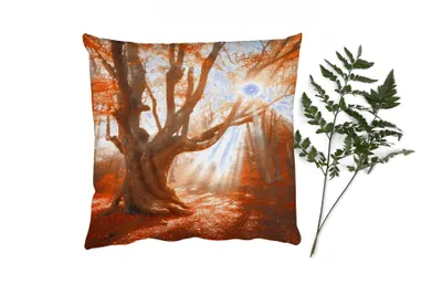 Produktbild von MuchoWow® Zierkissen Sofakissen Wohnzimmer Dekokissen 50x50 cm Baum - Natur - Herbst - Komfort - Sofakissen
