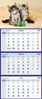 Obrázok produktu pre Trojitý kalendár na rok 2026 s motívom mačiek