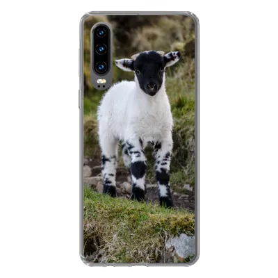 Produktbild von MuchoWow® Handyhülle Schutzhülle Hülle für Huawei P30 Lamm - Schwarz - Weiß - Tupfen Silikon Softcase Handy Hülle - Kartenbesitzer