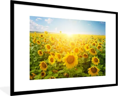 Produktbild von MuchoWow® Gerahmtes Poster Sonnenblume - Sonne - Wolken 90x60 cm - Poster mit Schwarzem Bilderrahmen Wandposter Rahmen Foto Bilder - Wanddekoration - Fotos