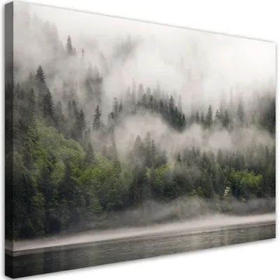 Produktbild von Leinwandbild Wald im Nebel Landschaft 60x40 Feeby Grün bild für die wand bereit zum aufhängen