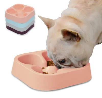 Productafbeelding van Solidchoice - Langzame Voerkom voor Honden met Klavervorm voor Gezond Eten