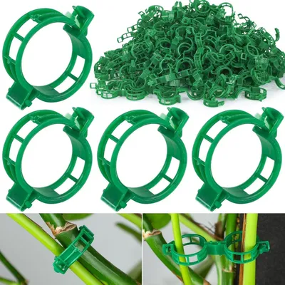 Productafbeelding van Plantenclips - Plantensteunklemmen - Tuinplantensteun - 100 stuks - Groen