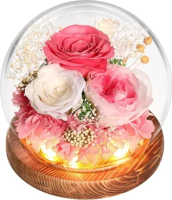 Produktbild von Ewige Rose Glas Infinity konserviert LED Licht Mama Freundin Geschenk