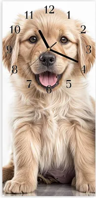 Produktbild von Wanduhr aus Glas mit Motiv Hund und Katze- 30 x 60 cm - inkl. Aufhängesystem