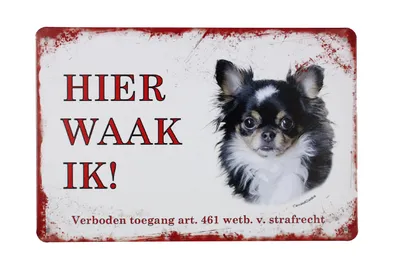 Produktbild von Hier Waak Ik Chihuahua - Retro blechschild - Metallschild - Vintage blechschild - Metall poster - Hund - Blechschild