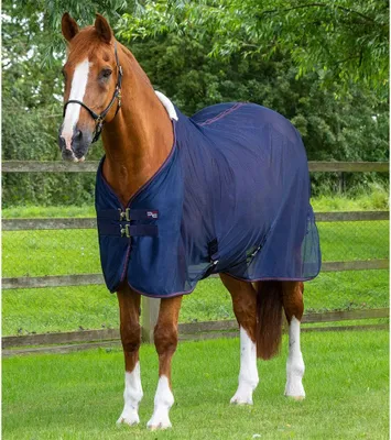 Image de Couverture de rafraîchissement Premier Equine Ventoso Mesh, bleue, 183 cm