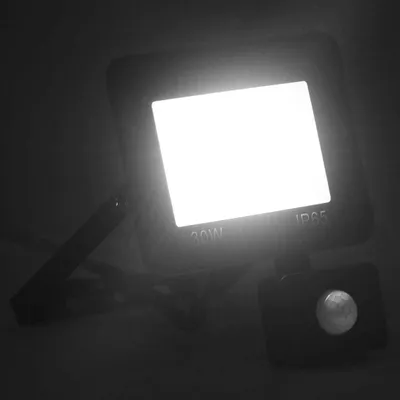 Immagine prodotto di Faretto a LED con Sensore 30 W Bianco Caldo