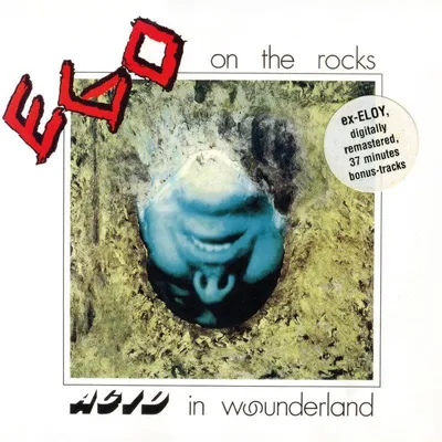Image de Acid in Wounderland (Bonus Track Edition)