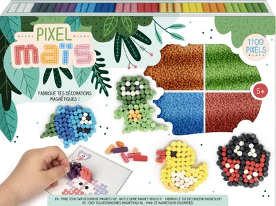 Productafbeelding van Graine Creatieve Pixelkunst Magnetische Set - milieuvriendelijk speelgoed
