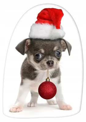 Produktbild von Carbotex Dekorative Weihnachts Zierkissen Hund