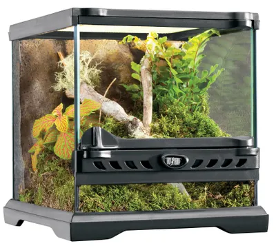 Productafbeelding van Exo Terra Exo Terra Glasterrarium Nano Wide – 20x20x20 cm | Compact terrarium met ventilatie en achterwand Met achterwand