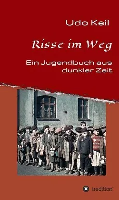 Produktbild von Risse im Weg