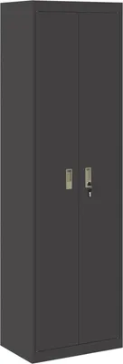 Image de SYFAX™ Armoire de rangement 2 pcs Noir 60 x 40 x 200 cm