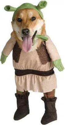 Produktbild von Tierkostüm Shrek Größe: S