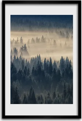Produktbild von Bild - Bilderrahmen - 40 cm x 60 cm - MDF - Rahmen - Wandkunst - Nebel über dem Wald