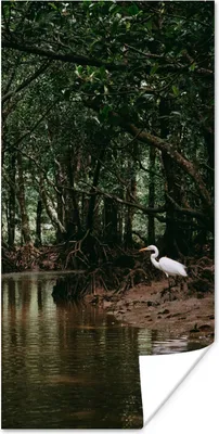 Produktbild von MuchoWow® Poster Reiher - Wald - See 80x160 cm - Kinderzimmer