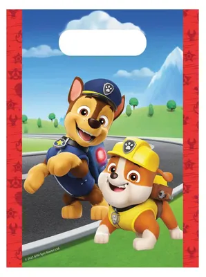 Immagine prodotto di Paw Patrol 4 sztuki papier