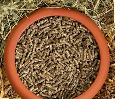 A close-up view of rabbit food pellets in a brown bowl, surrounded by hay.