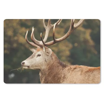Produktbild von MuchoWow® Schreibtischunterlage Hirsche - Geweihe - Wald 60x40 cm - XXL Mauspad - Großes Mauspad
