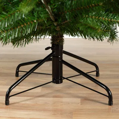 Image de Nordmann sapin 180cm gn