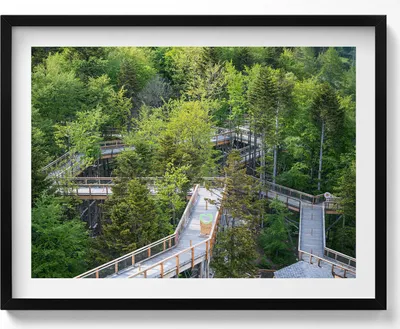 Produktbild von Ein Weg in Krynica Zdrój– Wandbild mit Rahmen – Gerahmtes Bild  – Wanddekoration – 80x60 cm –  Schwarz Rahmen