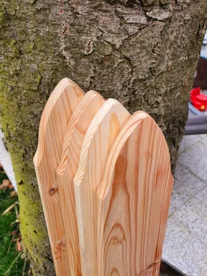 Produktbild von Zaunlatte 9x2x60  Sibirische Lärche Form E