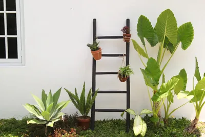 Productafbeelding van Teakea handdoekladder teak zwart gecoat 50 x 5 x 150 cm decoratieve ladder