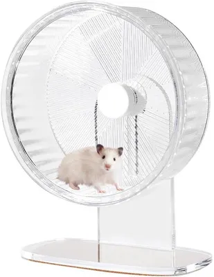 Image de Roue d'exercice pour hamster - transparente, 21,5 cm, pour hamsters, gerbilles et souris