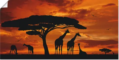 Produktbild von ARTland Poster Herde von Giraffen im Sonnenuntergang Größe: 60x30 cm