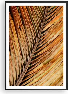 Produktbild von Gerahmtes Poster - Schwarzer Rahmen - Orange Blatt Tropisch - 70x100 cm - Wand Bild - Wanddeko - Wandbilder - Kunstposter - Wandposter - Bilderrahmen - Bilder - Kunstdruck - P2BPA70x100-4876
