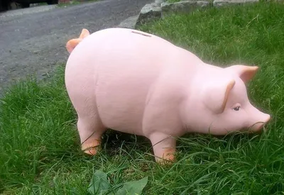 Zdjęcie produktu dla Świnka Skarbonka Xxxl Duża Wykonana Ręcznie Z Ceramiki