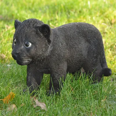 Produktbild von Dekofigur Gartenfigur Panther