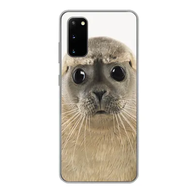 Produktbild von MuchoWow® Handyhülle Schutzhülle Hülle für Samsung Galaxy S20 Jungen - Robbe - Kinder - Mädchen - Tiere Silikon Softcase Handy Hülle - Bild