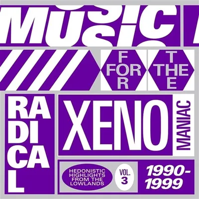 Produktbild von Various Artists - Music For The Radical Xenomaniac Vol. 3 (2 LP)