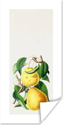 Produktbild von MuchoWow® Poster Lebensmittel - Birne - Obst 60x120 cm - Wandschmuck