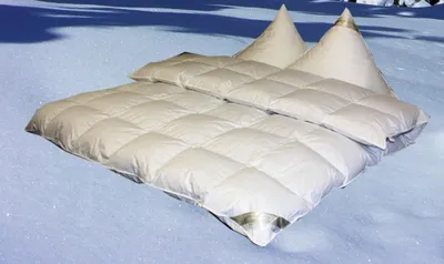 Produktbild von Betten Hofmann Eiszeit Premium 10 cm Winter Hochsteg Daunendecke Daunenbett 6x6 200x220 cm