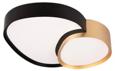 Obrázek produktu pro LED stropní svítidlo TRIO 647510280 RISE 21 W 2400 lm 2700-6500 K černé/zlaté